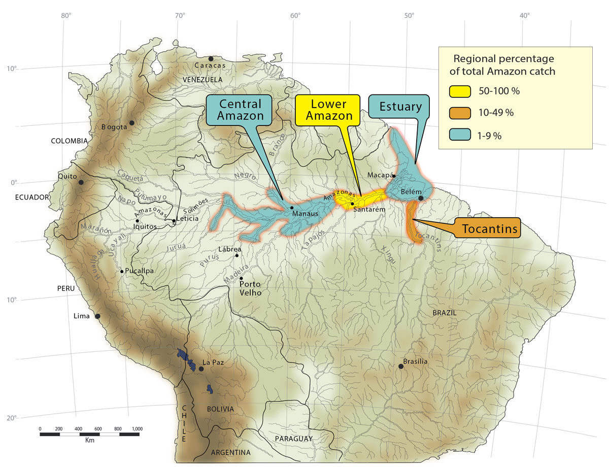 Distribution of moela catch.