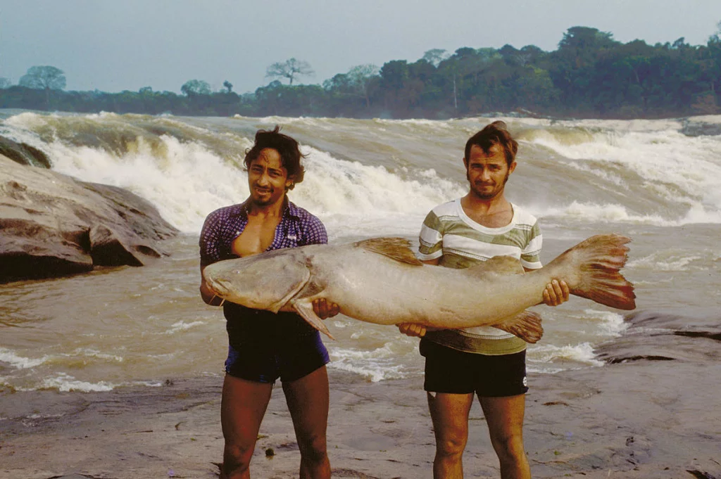 Conservando la Cuenca Amazónica Aguas Amazonicas