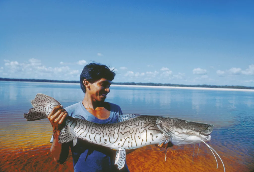 Conservando la Cuenca Amazónica Aguas Amazonicas