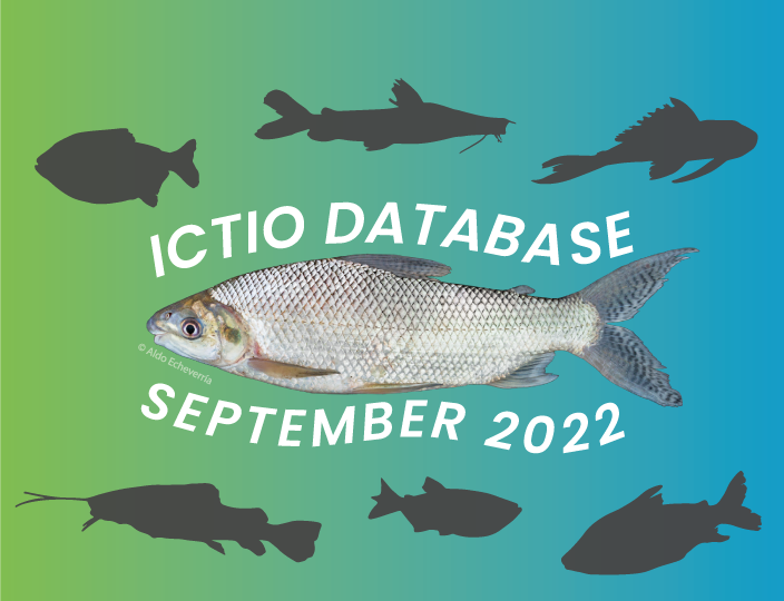 Ictio: The database of fish and fisheries in the Amazon continues to expand