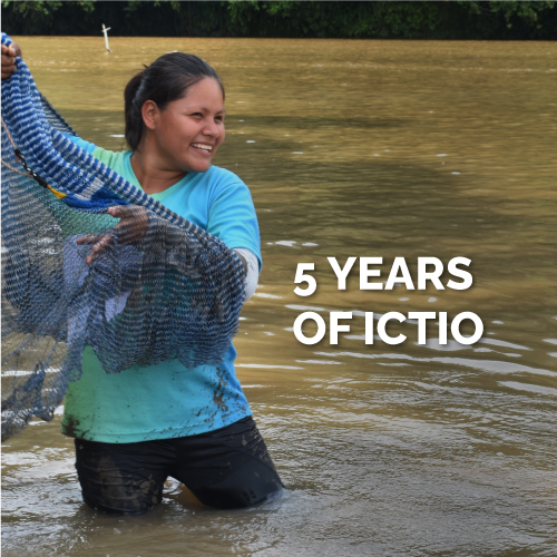 Ictio, five years collecting Amazon fish data