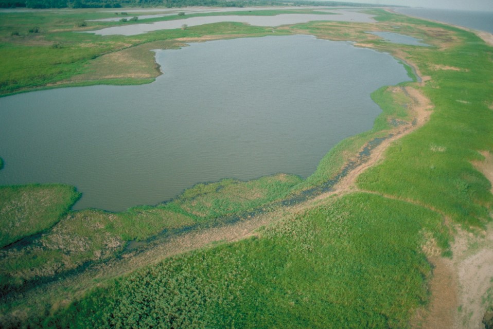 Conservando la Cuenca Amazónica Aguas Amazonicas