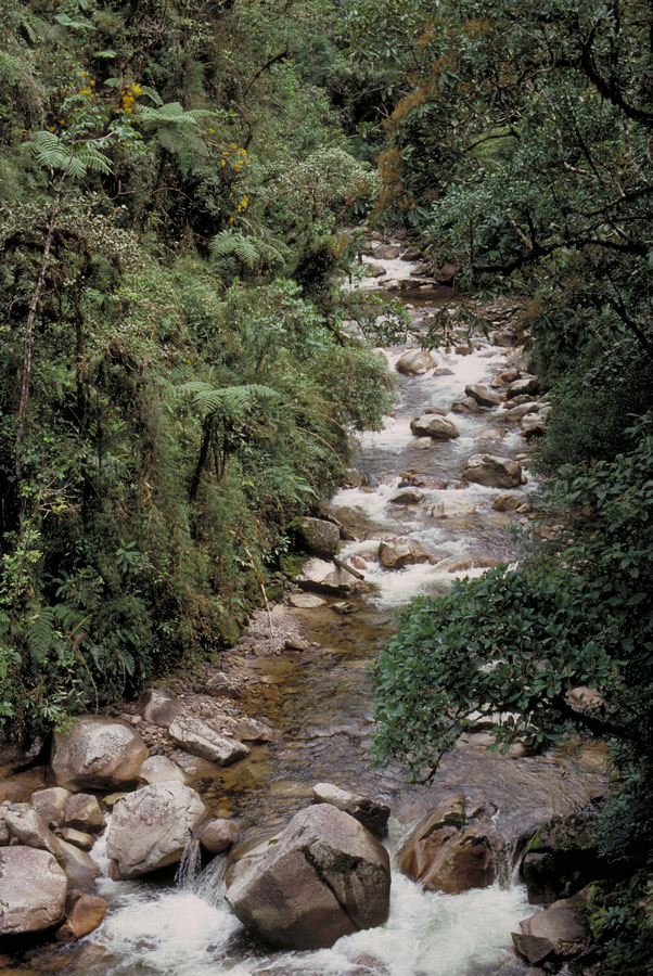Conservando la Cuenca Amazónica Aguas Amazonicas