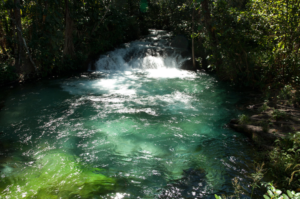 Conservando la Cuenca Amazónica Aguas Amazonicas