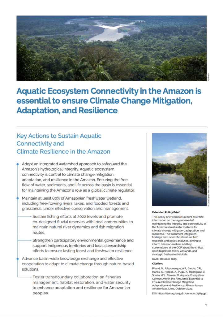 Aquatic connectivity 1 Conservando la Cuenca Amazónica Aguas Amazonicas