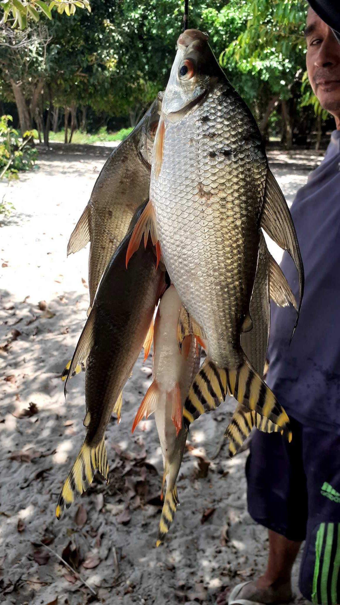 Conservando la Cuenca Amazónica Aguas Amazonicas