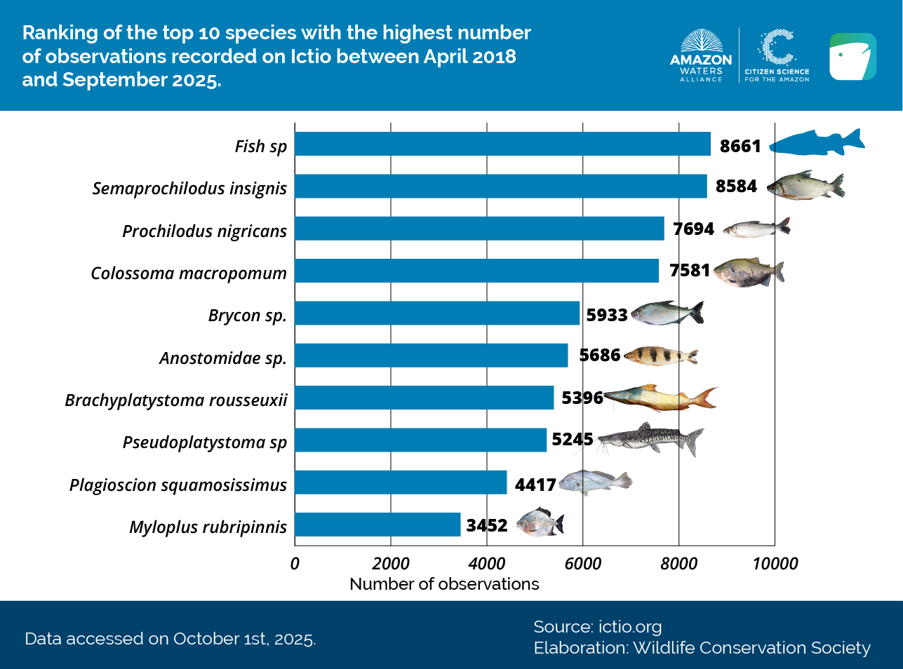 Conservando la Cuenca Amazónica Aguas Amazonicas
