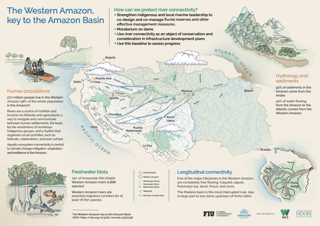 Conectividad acuática 2 Conservando la Cuenca Amazónica Aguas Amazonicas