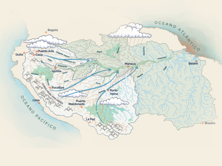 Western Amazon key for health and connectivity of Amazon Basin as a whole