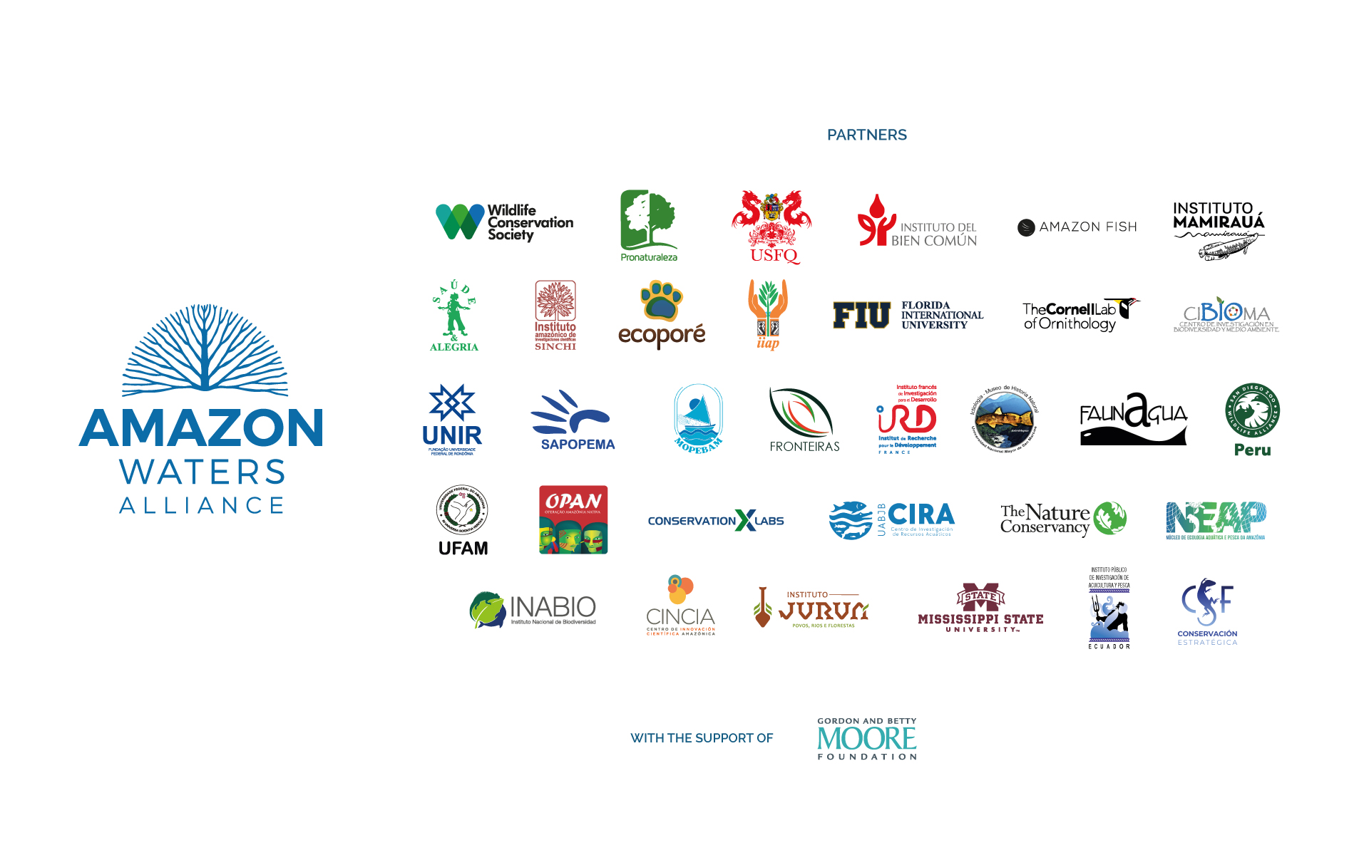 Conservando la Cuenca Amazónica Aguas Amazonicas