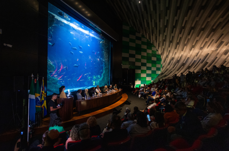 Regional Action Plan for Migratory Catfish in the Amazon 17 Conservando la Cuenca Amazónica Aguas Amazonicas