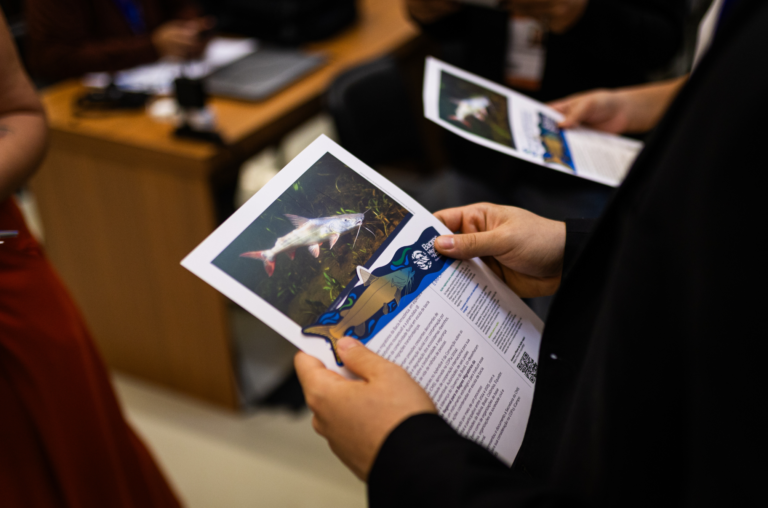 Regional Action Plan for Migratory Catfish in the Amazon 15 Conservando la Cuenca Amazónica Aguas Amazonicas