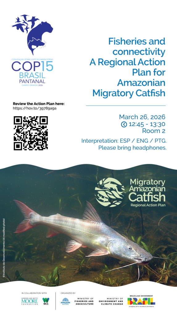 Regional Action Plan for Migratory Catfish in the Amazon 13 Conservando la Cuenca Amazónica Aguas Amazonicas