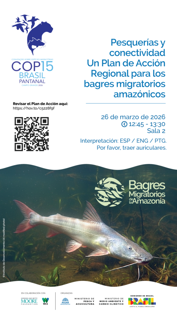 Plan de Acción Regional para los Bagres Migratorios de la Amazonía 13 Conservando la Cuenca Amazónica Aguas Amazonicas