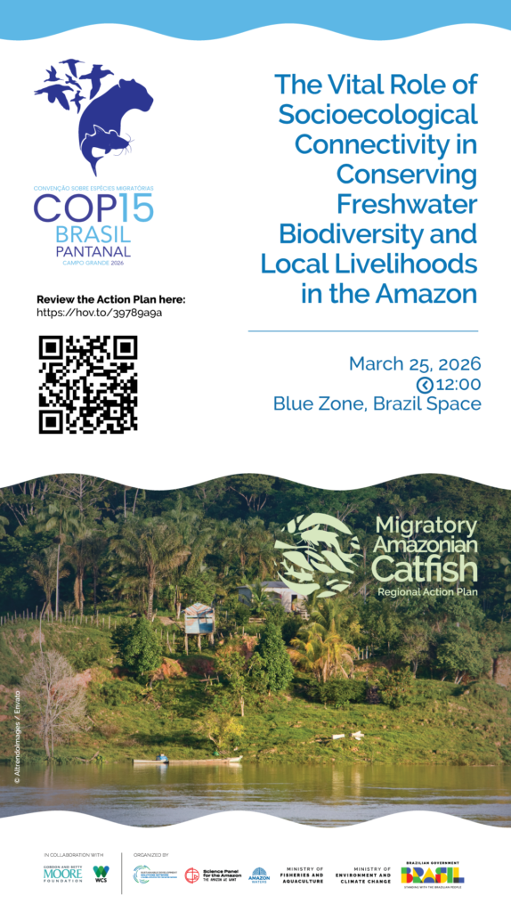 Regional Action Plan for Migratory Catfish in the Amazon 12 Conservando la Cuenca Amazónica Aguas Amazonicas