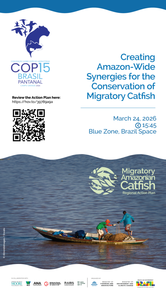 Regional Action Plan for Migratory Catfish in the Amazon 11 Conservando la Cuenca Amazónica Aguas Amazonicas