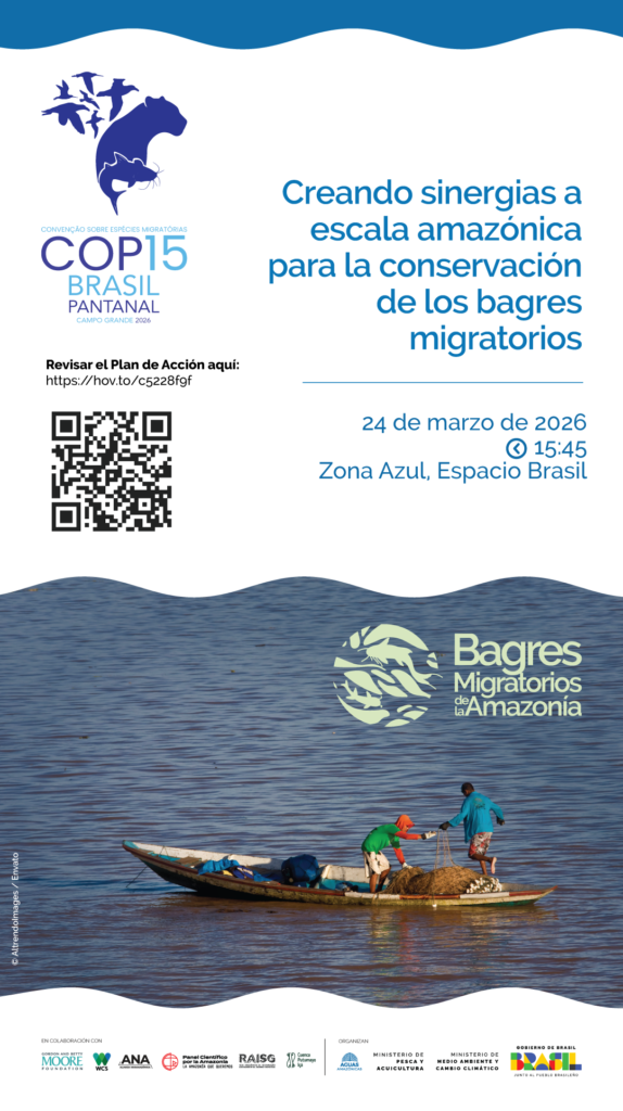 Plan de Acción Regional para los Bagres Migratorios de la Amazonía 11 Conservando la Cuenca Amazónica Aguas Amazonicas