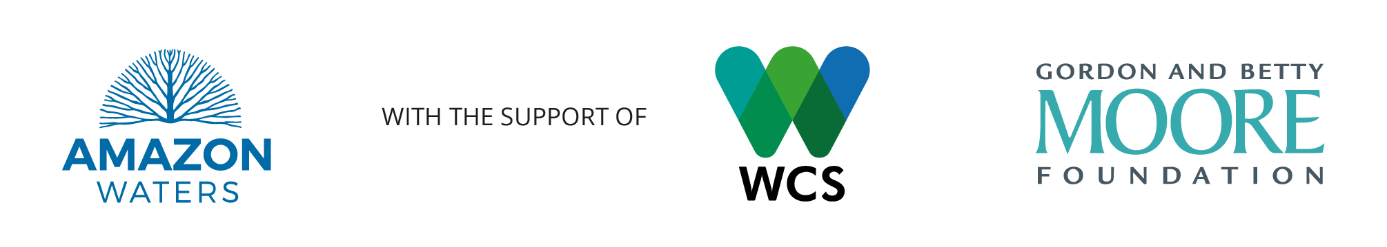 Conservando la Cuenca Amazónica Aguas Amazonicas