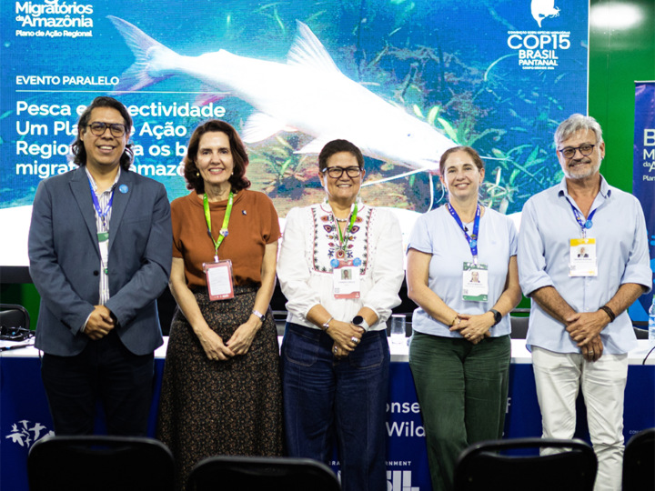 Amazon countries approve Action Plan to conserve migratory catfish