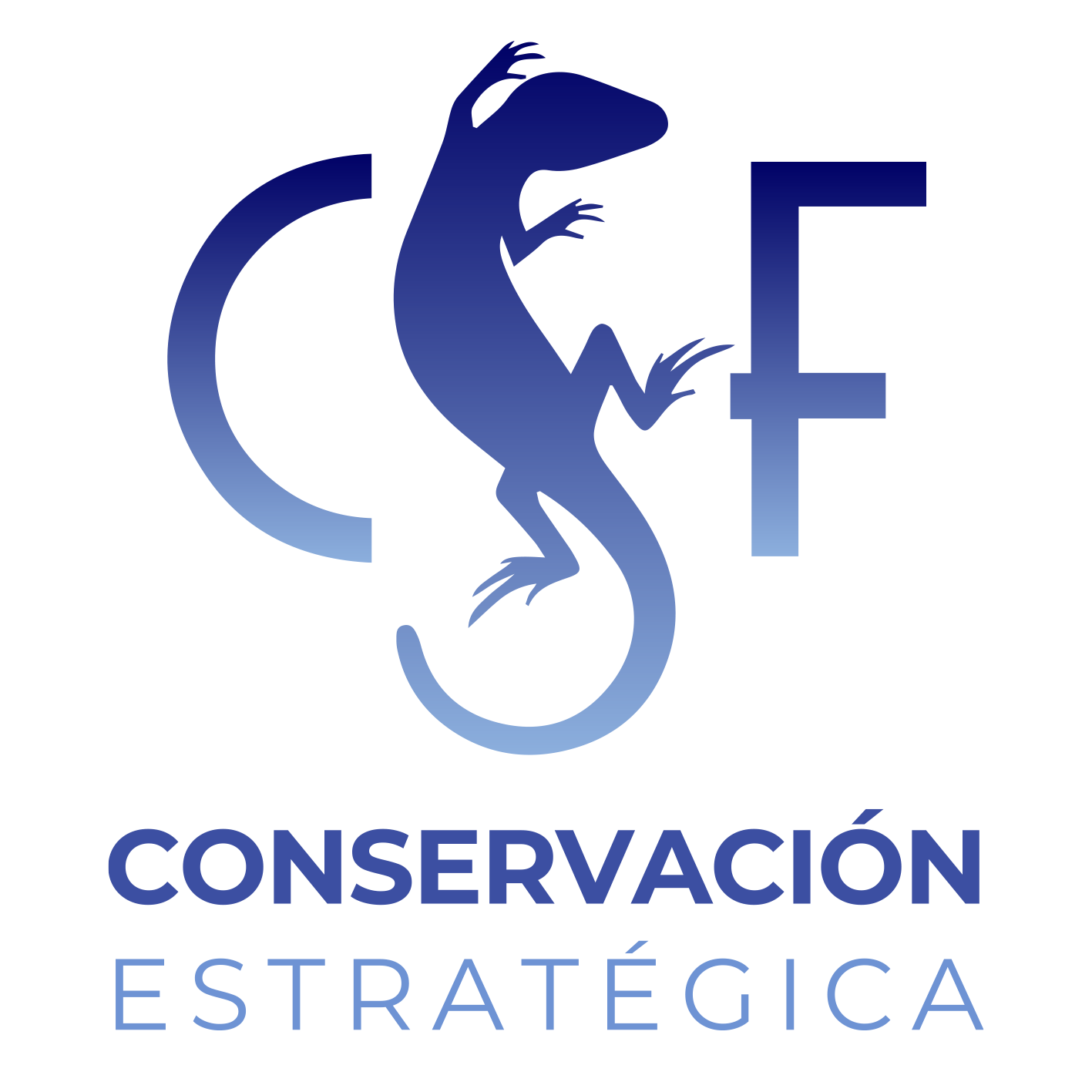 Conservation Strategy Fund 1 Conservando la Cuenca Amazónica Aguas Amazonicas
