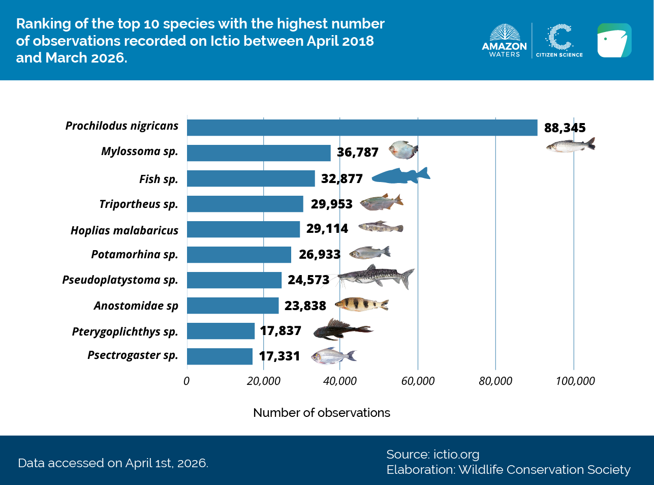 Ictio consolidates as the largest open database on Amazonian fishes and fisheries 8 Conservando la Cuenca Amazónica Aguas Amazonicas